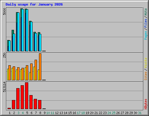 Daily usage for January 2026