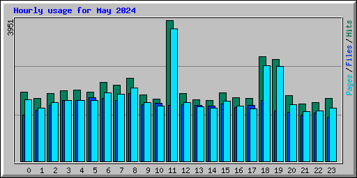 Hourly usage for May 2024