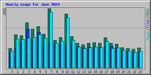 Hourly usage for June 2024