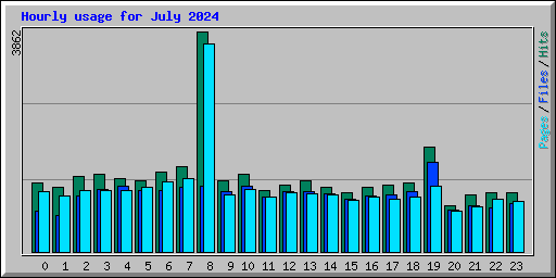 Hourly usage for July 2024