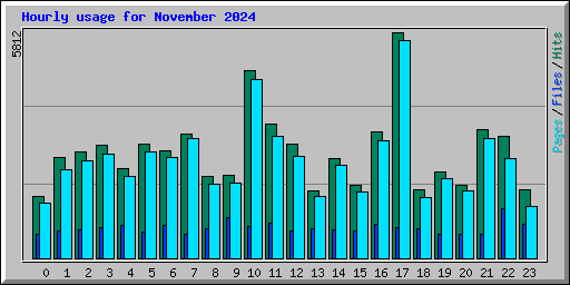 Hourly usage for November 2024