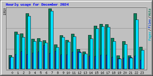 Hourly usage for December 2024