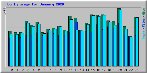 Hourly usage for January 2026