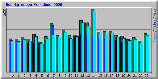 Hourly usage for June 2026